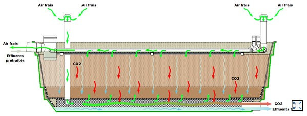 vue de coupe filtre fosse septique